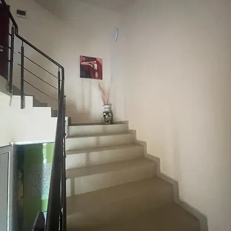 алекс سينيموريتس