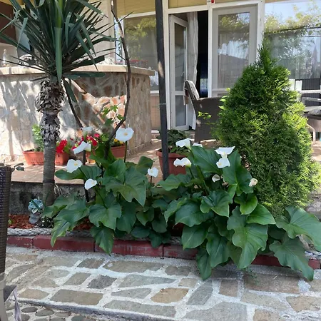 алекс سينيموريتس