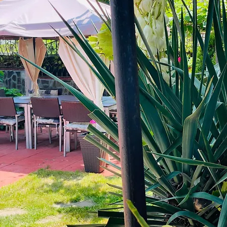 алекс سينيموريتس