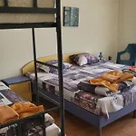 алекс 招待所