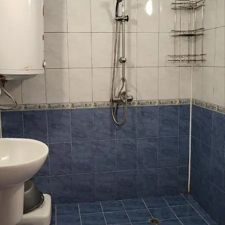 Guest house алекс Sinemoretz