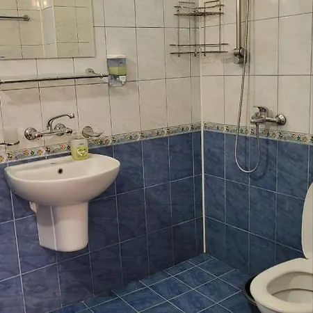 Guest house алекс 3*