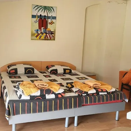 Guest house алекс