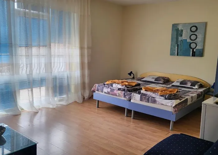 בית הארחה алекс