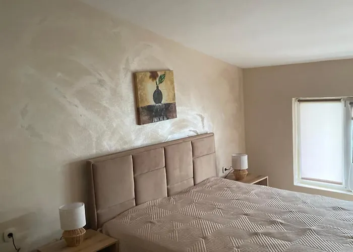 алекс בית הארחה