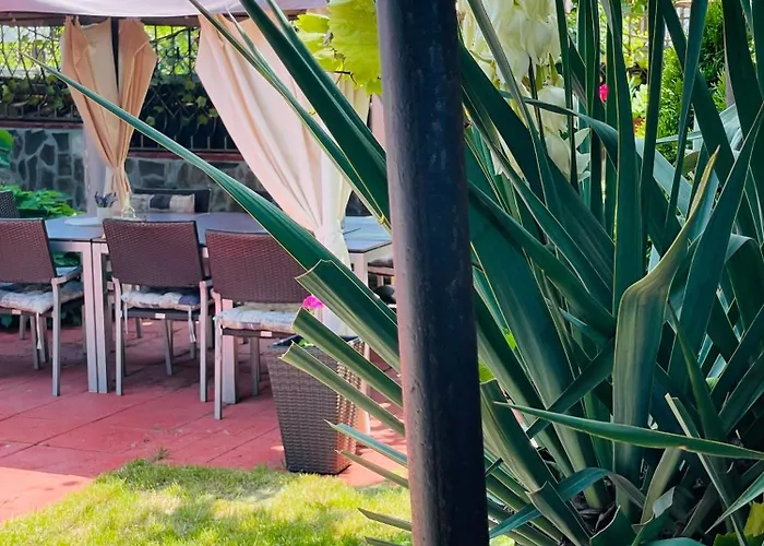 алекс סינמורץ